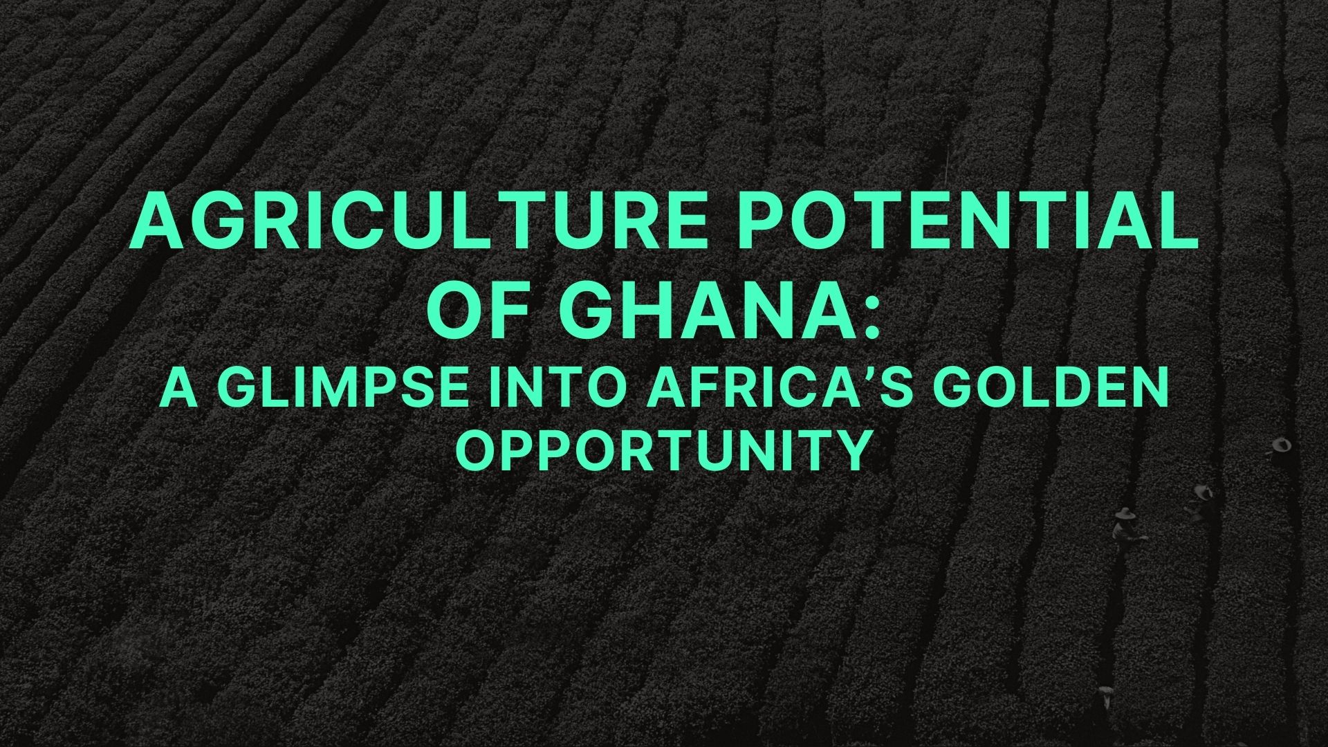 Agriculture Potential of Ghana: A Glimpse into Africa’s Golden Opportunity