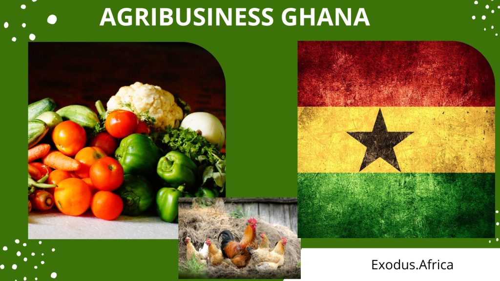 Agribusiness Ghana