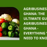 Agribusiness in Ghana: The Ultimate Guide to Agribusiness in Ghana - Everything You Need to Know