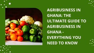Agribusiness in Ghana: The Ultimate Guide to Agribusiness in Ghana - Everything You Need to Know